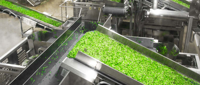 R&D Tax Credits for the Food Science Industry